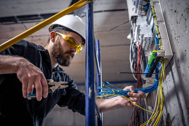 Best Electrical Upgrades for Homes  in Paynesville, MN