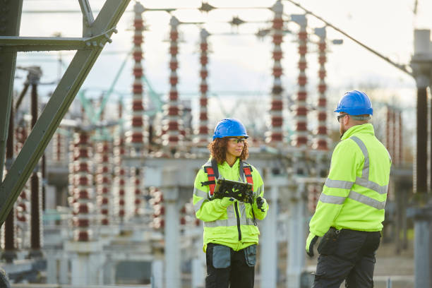 Best Home Electrical Repair  in Paynesville, MN
