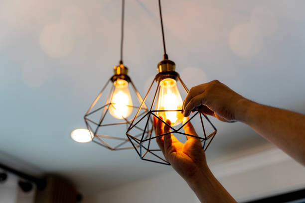 Best Electrician Near Me  in Paynesville, MN